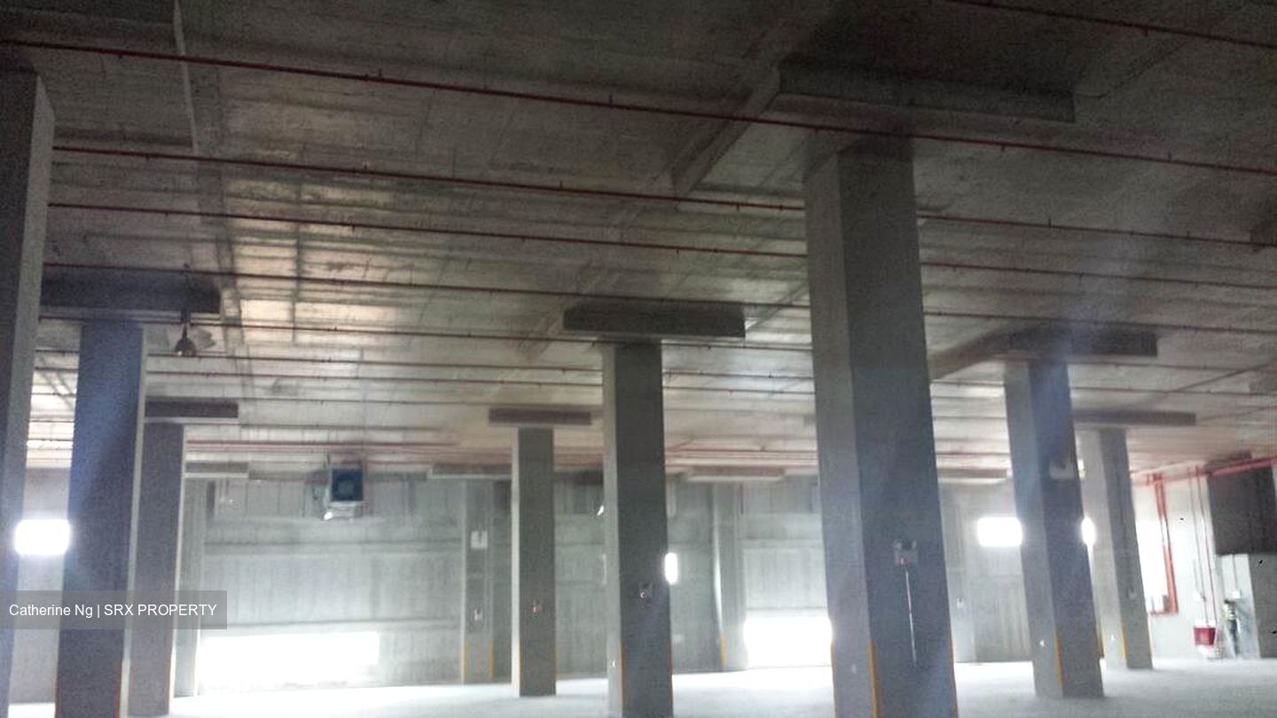 Greenwich Drive (D19), Factory #575432251